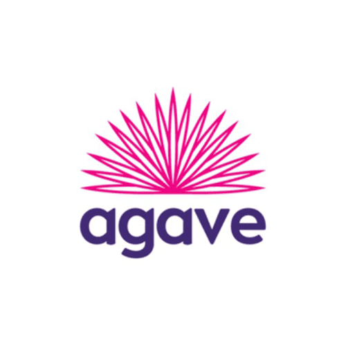 Agave Insurance Payments